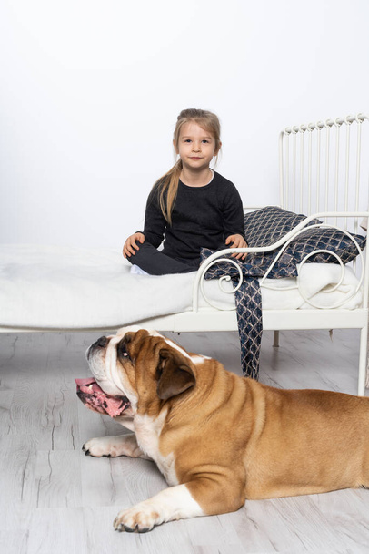 The English Bulldog is guarded by her faithful defender by the little girls bed. The girl and her four-legged pet. - Foto, Imagen