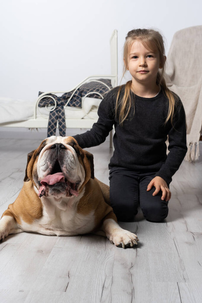 The girl is sitting on the floor next to the English Bulldogs belt and is gently stroking it with her hand. Man and dog. - Fotografie, Obrázek