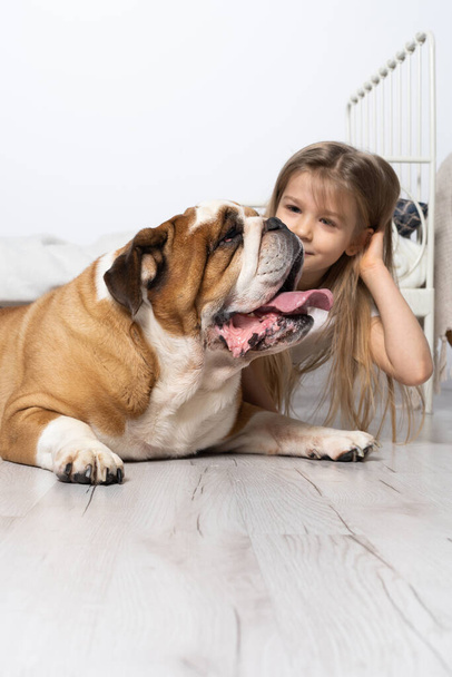 A young girl in a bedroom, sitting on the floor with her dog and stroking him. Child and dog. The English Bulldog is a purebred dog with a pedigree. - Foto, Imagem
