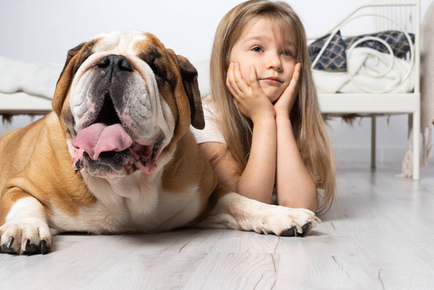 Two dreamy friends, a child and a dog, lie together in the room on the floor next to the bed and are swinging in the clouds. The English Bulldog is a purebred dog with a pedigree. - Foto, afbeelding