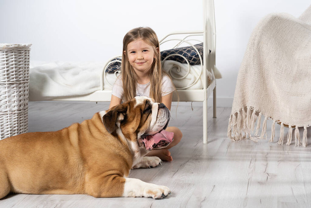 A young girl in a bedroom, sitting on the floor with her dog and stroking him. Child and dog. The English Bulldog is a purebred dog with a pedigree. - Foto, imagen
