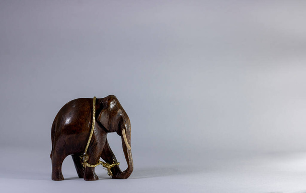 wooden carved miniature elephant on white background - Photo, Image
