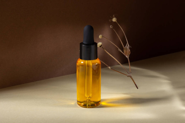 A glass cosmetic bottle with a dropper stands next to a dried flower on a beige background in bright sunlight. The concept of natural cosmetics, natural essential oil. - Φωτογραφία, εικόνα