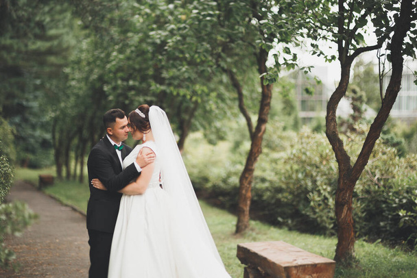 Happy wedding couple walking in a botanical park - Zdjęcie, obraz