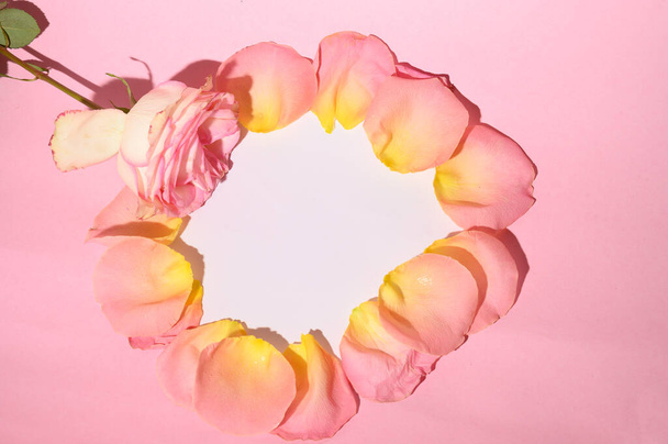 runko tuoreita kauniita terälehtiä ruusu kevyellä taustalla, romanttinen konsepti, lähikuva   - Valokuva, kuva