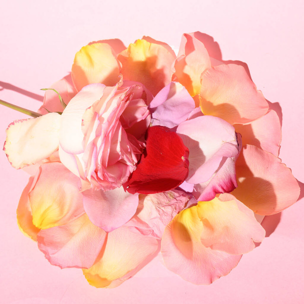 φρέσκα όμορφα πέταλα λουλουδιών με τριαντάφυλλο στο φως φόντο, ρομαντική ιδέα, κοντινή θέα   - Φωτογραφία, εικόνα