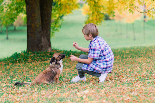 Αγόρι αγκαλιάζει ένα σκύλο και πλαγιάζει μαζί του το φθινόπωρο, στο πάρκο της πόλης - Φωτογραφία, εικόνα