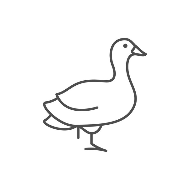 Goose line icon or poultry concept - Vector, Image