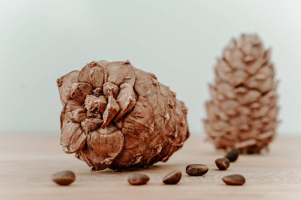 pine cones with a handful of unpeeled nuts. pine cones with nuts, on a light background. ingredients for cedar oil - Фото, изображение