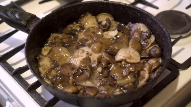 Honing champignons worden gebakken in olie in een koekenpan - Video