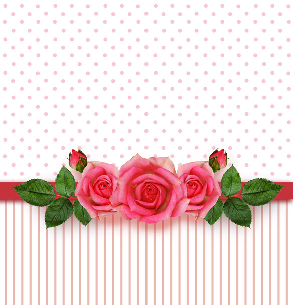 Rose flowers arrangement and frame - 写真・画像