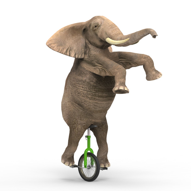 Elefantti ajaa yksipyöräisellä
 - Valokuva, kuva
