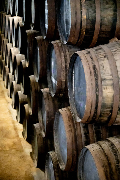 Portekiz 'in kuzeyindeki Vila Nova de Gaia' da güçlendirilmiş yakut ya da tawny porto şarabının yavaş yaşlanması için meşe ağacı fıçılarıyla dolu eski bir porto kulübesi. - Fotoğraf, Görsel