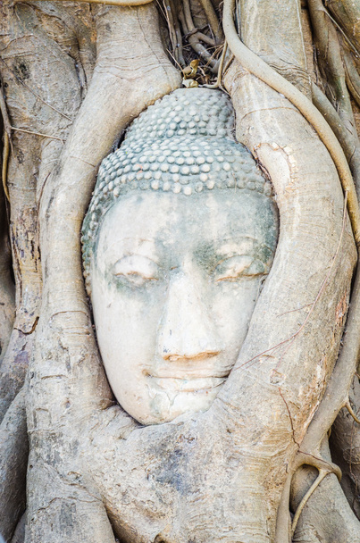 κεφάλι άγαλμα του Βούδα - Φωτογραφία, εικόνα
