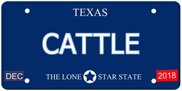 Cattle Texas Imitation License Plate - Photo, Image