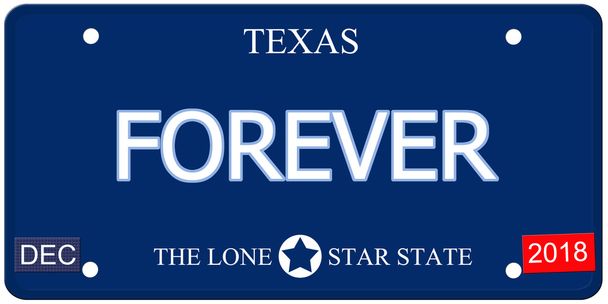 Forever Texas Imitation License Plate - Photo, Image