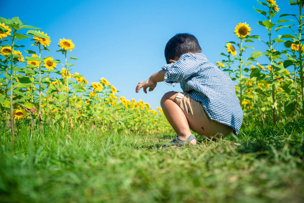 Portret uroczego chłopca azjatyckiego na letnim polu słonecznika na świeżym powietrzu, koncepcja szczęścia dzieci - Zdjęcie, obraz