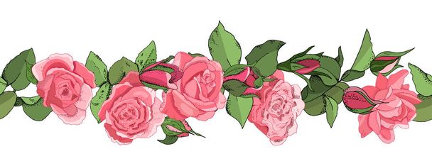 Flowers seamless border isolated on white background. Hand drawn illustration of roses. Floral design composition for textiles, wallpaper, fabric, wallpaper, gift boxes - Вектор,изображение