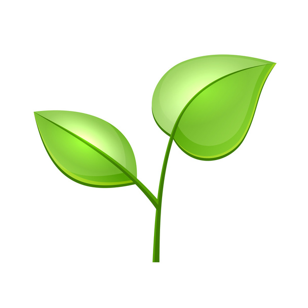 Ökologie-Konzept-Ikone mit grün glänzenden Blättern - Vektor, Bild