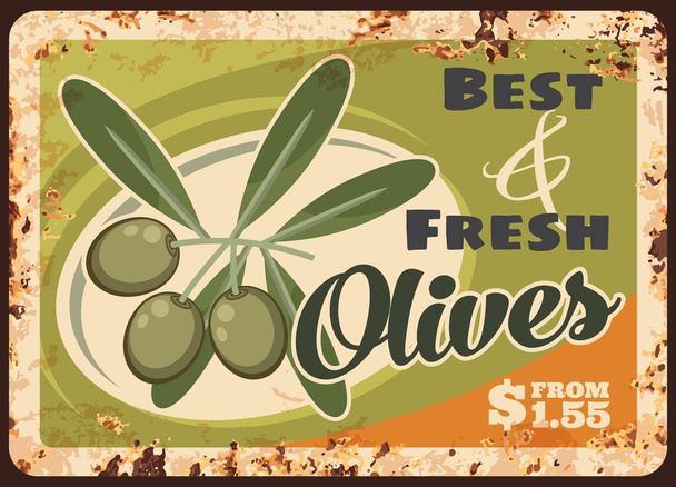 Kypsät oliivit ruosteinen metallilevy, vektorioksat, lehdet ja oliivihedelmät. Välimeren keittiö ravintola, luonnollinen orgaaninen ensiluokkainen tuote vuosikerta ruoste tina merkki, hintalappu tuotteen vähittäiskaupan - Vektori, kuva