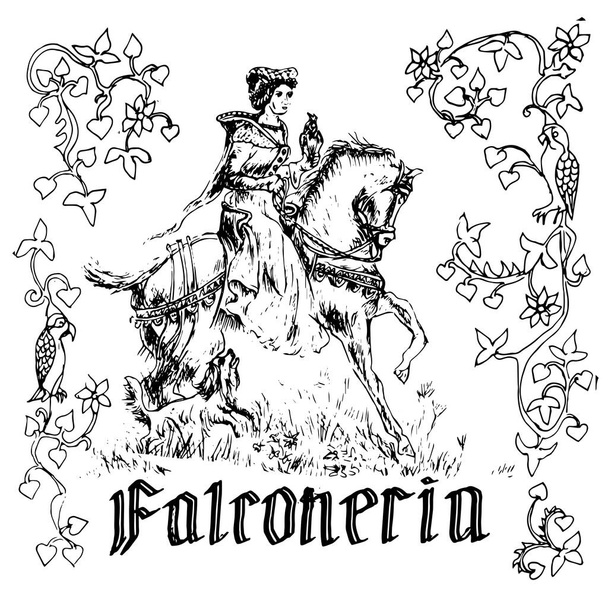 Vintage-Vektorzeichnung im Stil des mittelalterlichen Stichs. Die lateinische Inschrift lautet Falknerei. Ein Mädchen reitet auf einem Pferd und hält einen Falken auf der Hand. Der Rahmen besteht aus einem alten Ornament. Handgezeichnet - Vektor, Bild