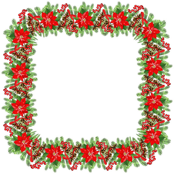 Vector christmas and New Year template with poinsettias, fir branches, berries isolated on white. For festive decoration, announcements, cards, invitations, posters. - Wektor, obraz