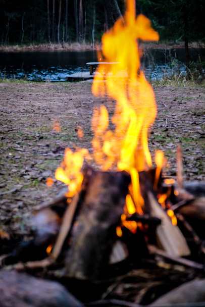 Bonfire close-up. Burning firewood. Camp fire. Vertical photo. Selective focus - Photo, Image