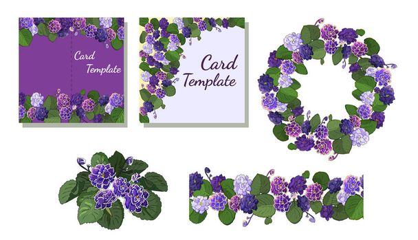 Vector set of flowering African violets - Вектор, зображення