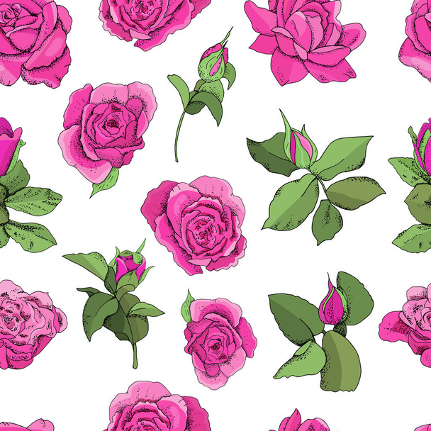 Flowers seamless pattern isolated on white background. Vector hand drawn illustration of roses. For textiles, wallpaper, fabric, gift boxes, greeting card and invitations - Vector, Image