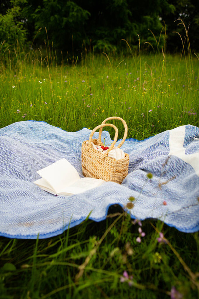 Muy hermoso picnic en la naturaleza en el parque. Bolsa de paja, libro, cuadros azules. Recreo al aire libre. Primer plano - Foto, imagen