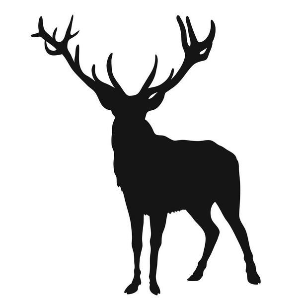 Silhouette eines Hirsches mit Geweih, schwarze Form isoliert auf weißem Hintergrund - Vektor, Bild