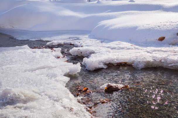 El derretimiento del hielo en el río en invierno en el bosque - Foto, imagen