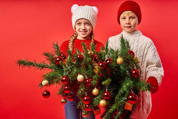 portrait of two cute children holding christmas tree in hands - Fotoğraf, Görsel