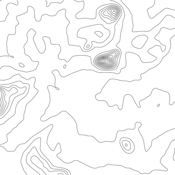 Resumen Plantilla de mapa de contorno topográfico. Composición abstracta de círculos negros y líneas sobre un fondo blanco. EPS10 Ilustración vectorial - Vector, imagen