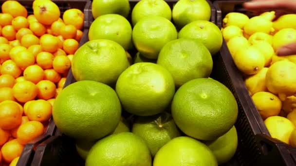 Vrouwelijke hand te nemen oroblanco, oro blanco of lieverd uit de winkel teller Citrusvruchten in supermarkt - Video