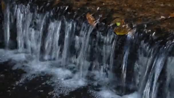 Luonto puhdas vesi stream - Materiaali, video