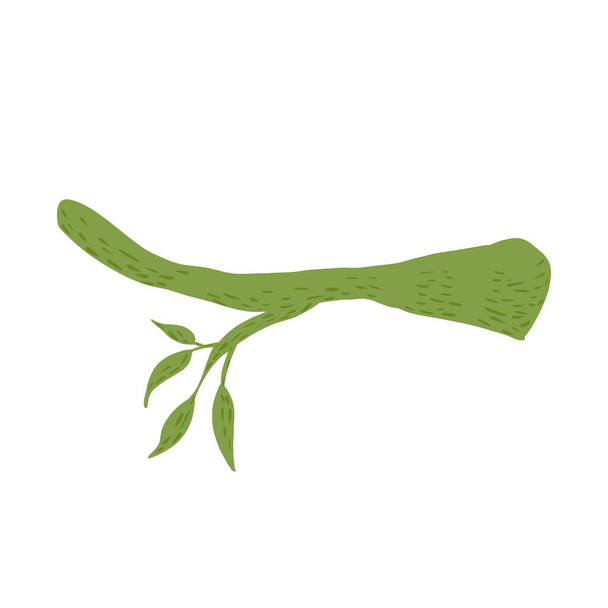 Brindille verte avec des feuilles isolées sur fond blanc. Élément graphique abstrait dessiné à la main nature. Illustration vectorielle Doodle. - Vecteur, image
