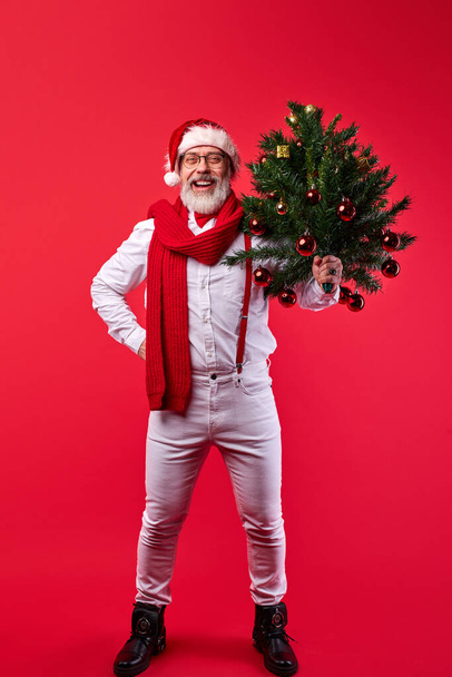 cheerful hipster fanky senior man with new year tree in hands - Photo, Image