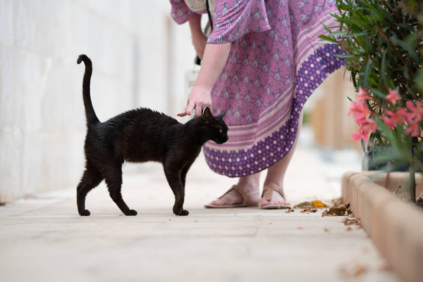θηλυκό τουρίστας χαϊδεύοντας μαύρη αδέσποτη γάτα στη Μαγιόρκα - Φωτογραφία, εικόνα