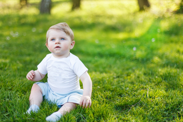 Beautiful caucasian baby boy of six months on green grass in sum - Photo, Image
