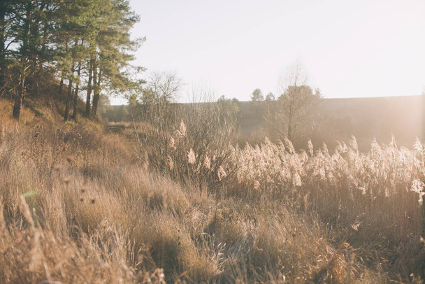Суха трава на передньому плані, позаду заходу сонця. осінній пейзаж. спокійний і затишний фон природи
 - Фото, зображення