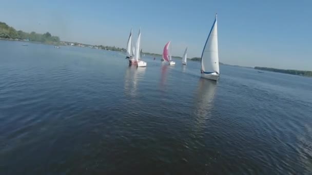 FPV drone bekijken beelden van regatta of zeilwedstrijd op Dnipro rivier - Video
