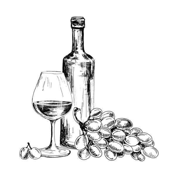 Wine and grapes - Vector, Image
