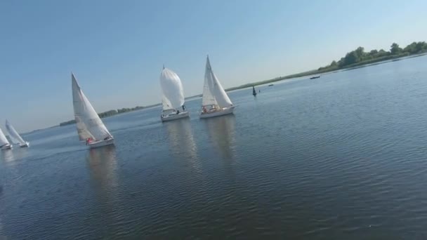 FPV drone view πλάνα της regatta ή ιστιοπλοΐα αγώνα στο ποτάμι Dnipro - Πλάνα, βίντεο