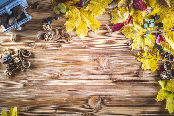 Top view of vivid colors of Autumn background on wooden table board with yellow maple leaves and walnuts - Photo, Image