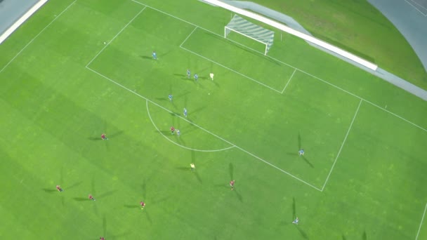 Jalkapalloilijat pelaavat jalkapalloa suurella stadionilla. punaiset ja siniset univormut - Materiaali, video