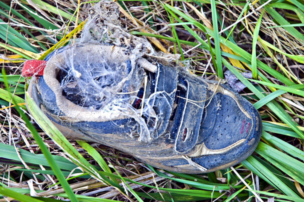 çim atılan Ayakkabı - Fotoğraf, Görsel