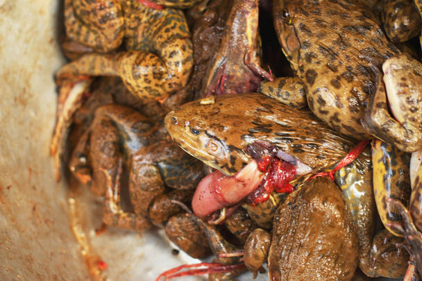 carne fresca de rana en el mercado
 - Foto, Imagen