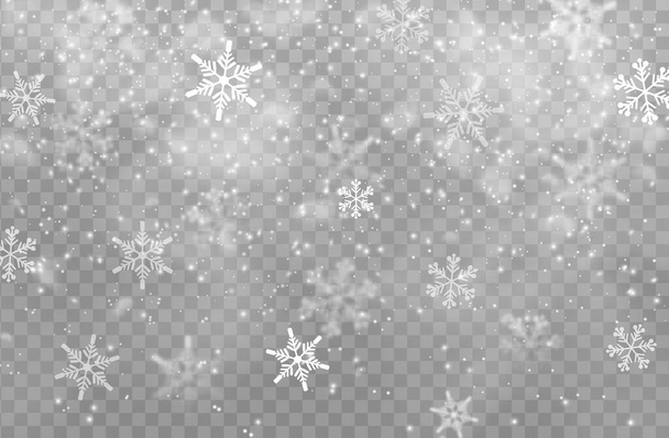 Kar şeffaf arka plan, Noel vektör tasarımı. Xmas 'ın beyaz kar taneleri ve yeni yıl tatilleri, kar tanelerinin kar yağışı etkisi buz ve buz dokusu, soğuk karlı hava - Vektör, Görsel