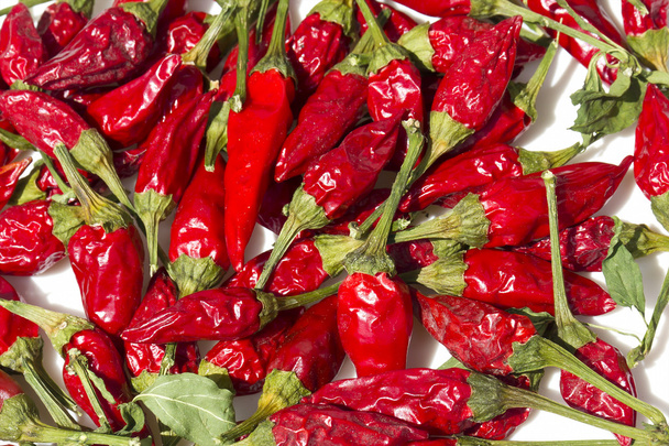 Red hot chili pepper - Photo, Image